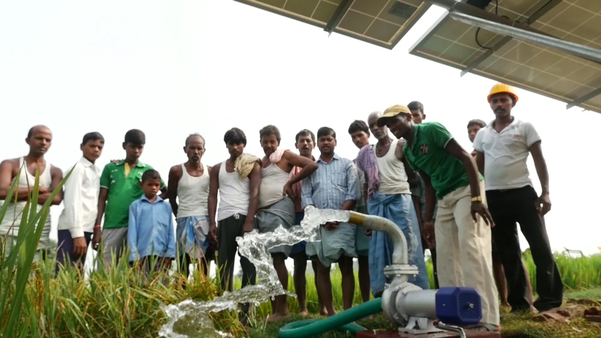 Solar pump in action