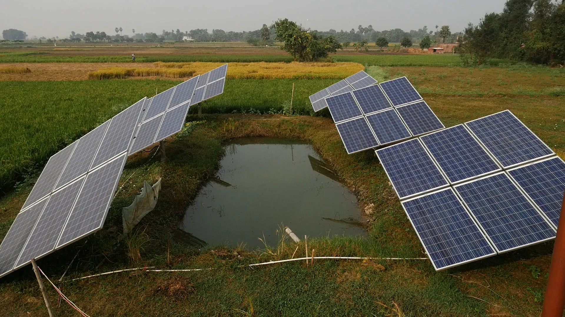 Solar panels in a field